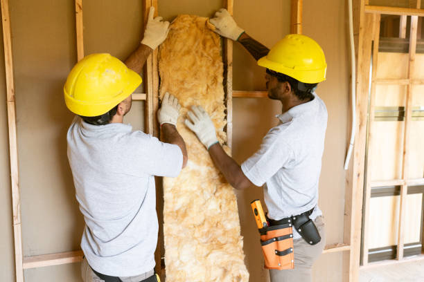 Best Basement Insulation  in Hayden, AL